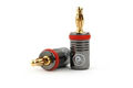 PLANET WAVES 16BSPKP10 16 AWG BANANA PLUG 10 PACK
