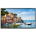 LG COMMERCIAL 60WL30MSD 60" LED