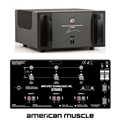 ATI AT6003 300W x 3 CHANNEL SIGNATURE AMPLIFIER
